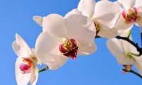 世界举重康复示范课程被高校采纳：产学研合作进入新阶段，世界举重冠军视频