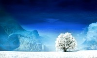 世界举重锦标赛颁奖礼感人瞬间刷屏，世界举重锦标赛2021