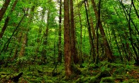 世界帆船青少年夏令营：航海教育融入学校课程，全国青少年帆船夏令营