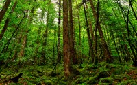 世界帆船青少年夏令营：航海教育融入学校课程，全国青少年帆船夏令营
