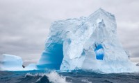 世界体操单项赛国际裁判观察日程对外公布，世界体操锦标赛冠军