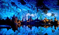 世界体能恢复科研基金第46轮资助指南与时间表公布，国际体能大赛